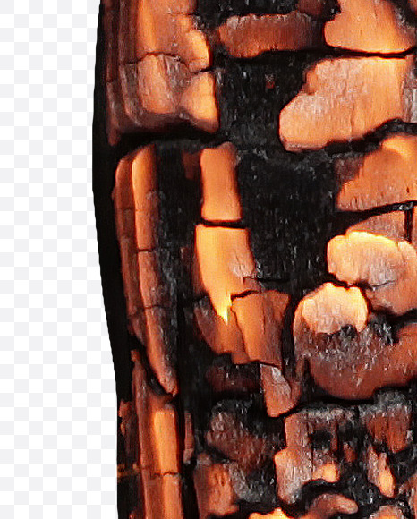 6 from Burned Wood Font on Yellow Images Creative Fonts - S37422