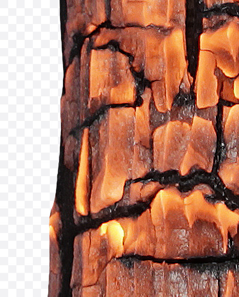 Letter J from Burned Wood Font on Yellow Images Creative Fonts - S37400