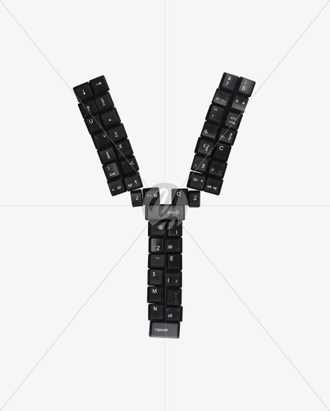 Y