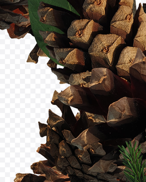 6 from Forest motives on Yellow Images Creative Fonts - S37649