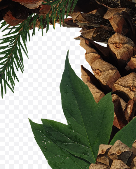 Letter T from Forest motives on Yellow Images Creative Fonts - S37636