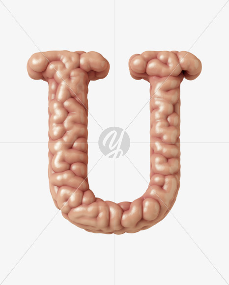 U uppercase