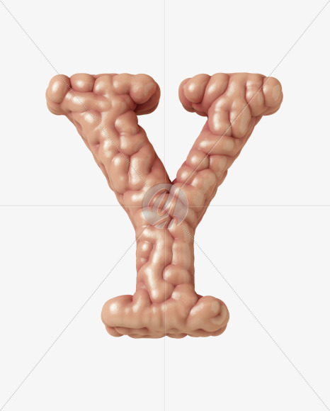 Y uppercase