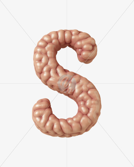 S uppercase