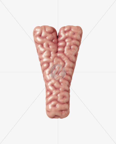 Y