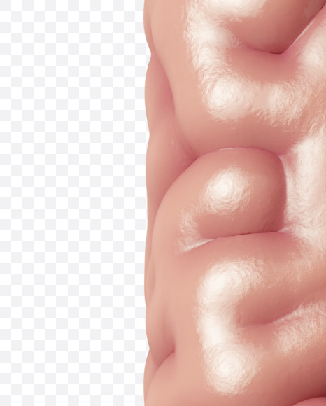 Letter M from Brain on Yellow Images Creative Fonts - S37742