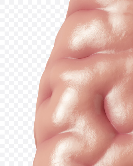 Letter Z from Brain on Yellow Images Creative Fonts - S37755