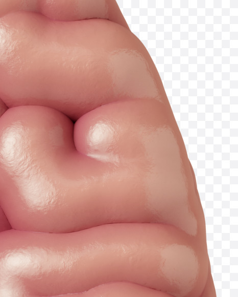 @ from Brain on Yellow Images Creative Fonts - S37768