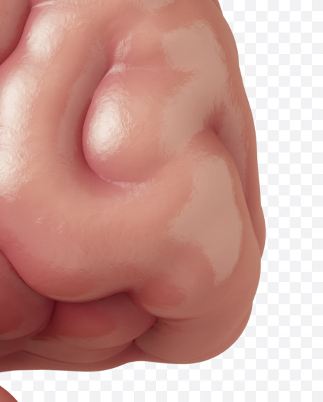 Letter S from Brain on Yellow Images Creative Fonts - S37748