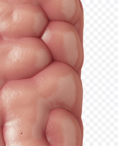 Letter L from Brain on Yellow Images Creative Fonts - S37741