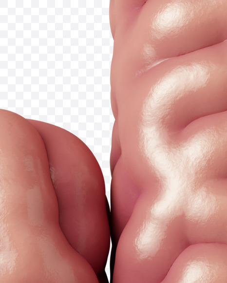 Letter J from Brain on Yellow Images Creative Fonts - S37739