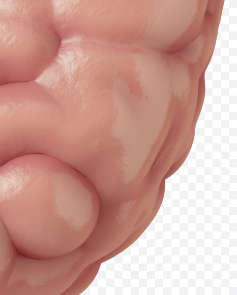 ? from Brain on Yellow Images Creative Fonts - S37767