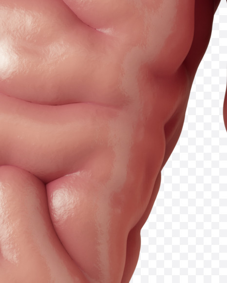 % from Brain on Yellow Images Creative Fonts - S37771