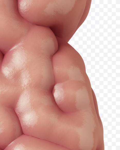 Letter B from Brain on Yellow Images Creative Fonts - S37731