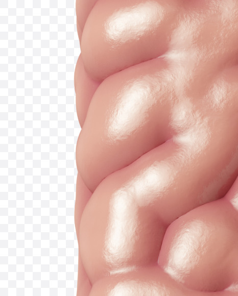 Letter E from Brain on Yellow Images Creative Fonts - S37734