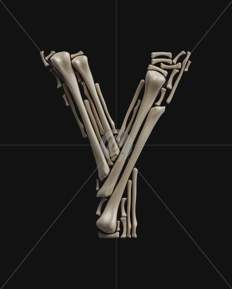 Y
