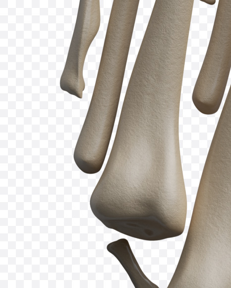 Letter Q from Archaeology Font on Yellow Images Creative Fonts - S38008