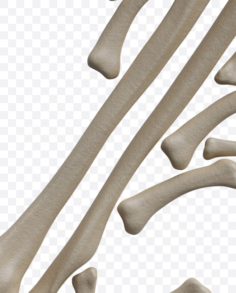 3 from Archaeology Font on Yellow Images Creative Fonts - S38020