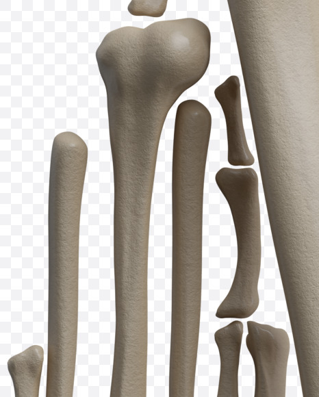 Letter C from Archaeology Font on Yellow Images Creative Fonts - S37994