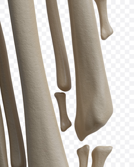 Letter D from Archaeology Font on Yellow Images Creative Fonts - S37995