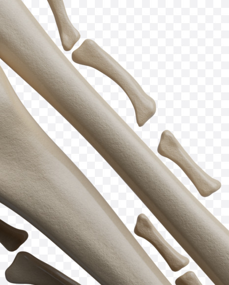 Letter N from Archaeology Font on Yellow Images Creative Fonts - S38005