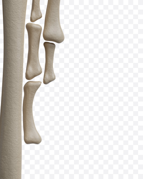 ! from Archaeology Font on Yellow Images Creative Fonts - S38028