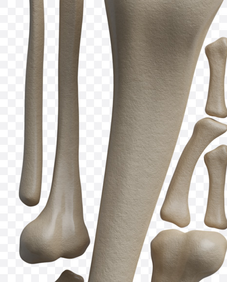 Letter J from Archaeology Font on Yellow Images Creative Fonts - S38001