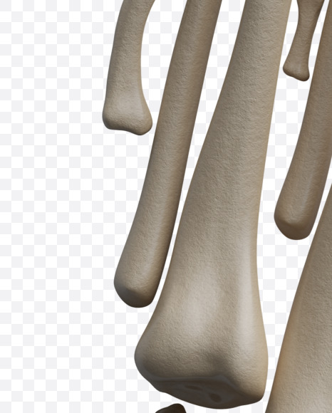 6 from Archaeology Font on Yellow Images Creative Fonts - S38023