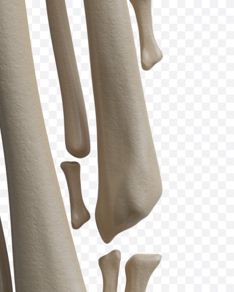 Letter L from Archaeology Font on Yellow Images Creative Fonts - S38003