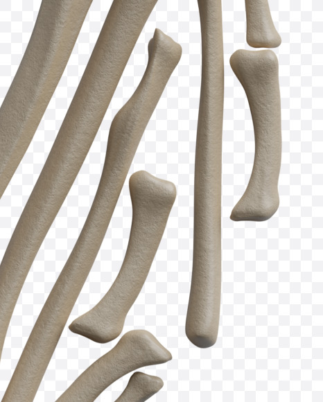 ? from Archaeology Font on Yellow Images Creative Fonts - S38029