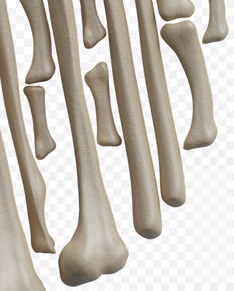 Letter P from Archaeology Font on Yellow Images Creative Fonts - S38007