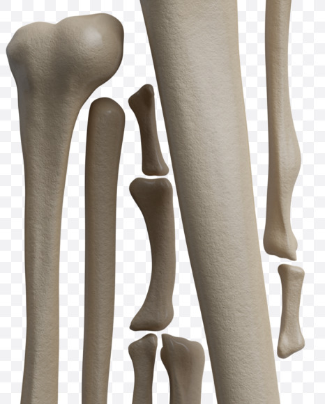 euro from Archaeology Font on Yellow Images Creative Fonts - S38033