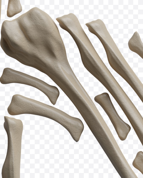 $ from Archaeology Font on Yellow Images Creative Fonts - S38032