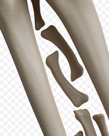 Letter W from Archaeology Font on Yellow Images Creative Fonts - S38014