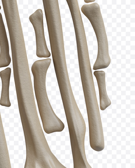 0 from Archaeology Font on Yellow Images Creative Fonts - S38027