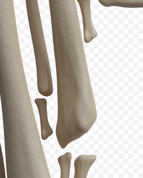 Letter E from Archaeology Font on Yellow Images Creative Fonts - S37996