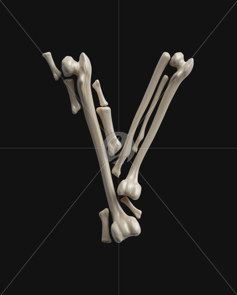 Y