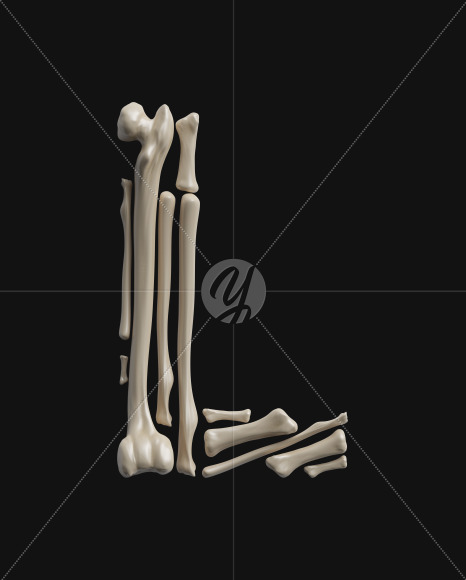 L