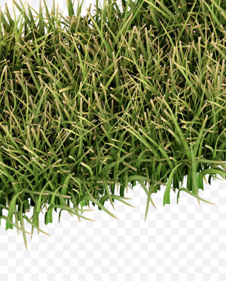 Letter O from Grass Cut Font on Yellow Images Creative Fonts - S38365
