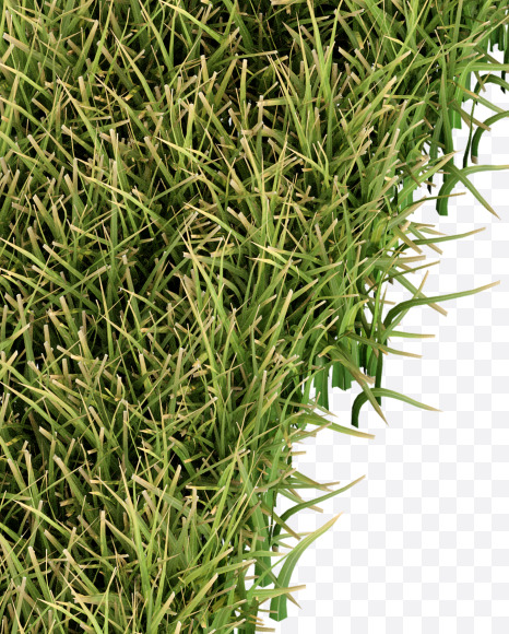 Letter V from Grass Cut Font on Yellow Images Creative Fonts - S38372