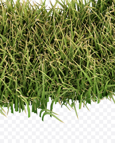 & from Grass Cut Font on Yellow Images Creative Fonts - S38393