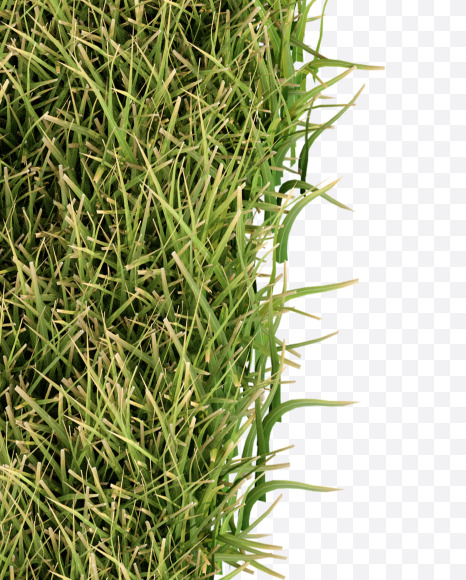 ! from Grass Cut Font on Yellow Images Creative Fonts - S38387