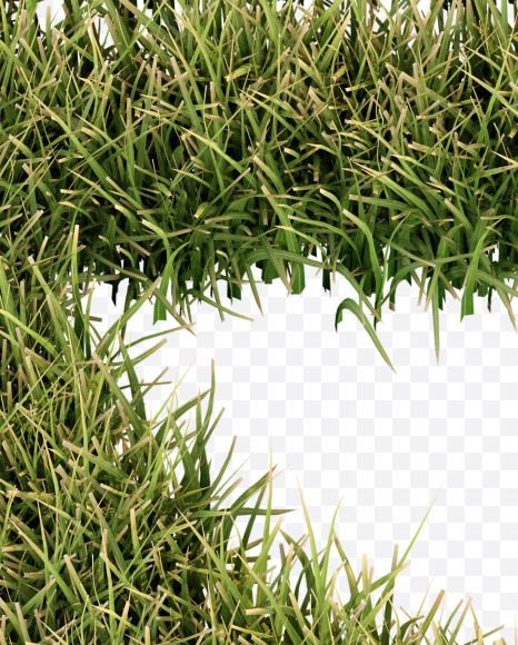 euro from Grass Cut Font on Yellow Images Creative Fonts - S38391