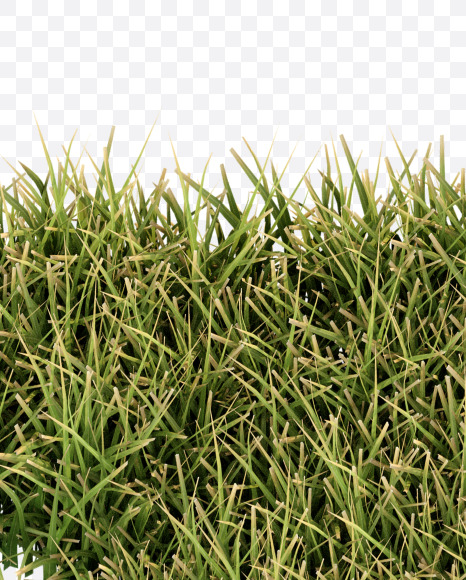 Letter U from Grass Cut Font on Yellow Images Creative Fonts - S38371