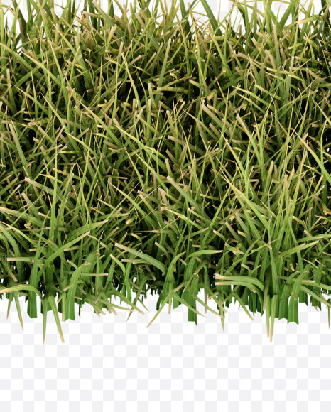 symbols from Grass Cut Font on Yellow Images Creative Fonts - S38395