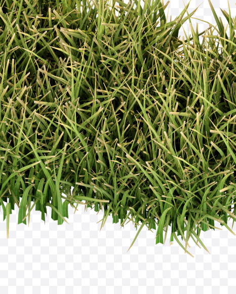 Letter G from Grass Cut Font on Yellow Images Creative Fonts - S38357