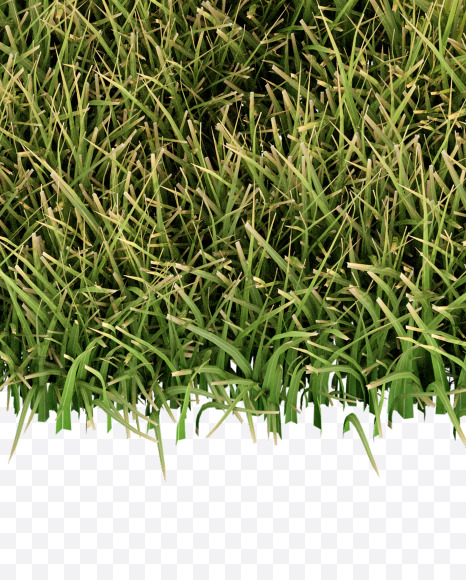 Letter H from Grass Cut Font on Yellow Images Creative Fonts - S38358