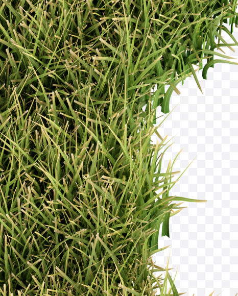 Letter Y from Grass Cut Font on Yellow Images Creative Fonts - S38375