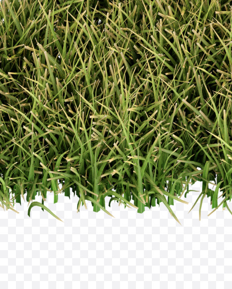 Letter P from Grass Cut Font on Yellow Images Creative Fonts - S38366