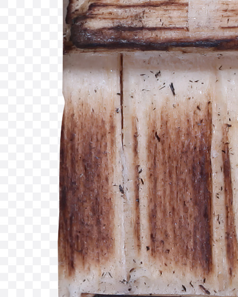 9 from Burned Planks Font on Yellow Images Creative Fonts - S38919